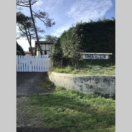 Maison A 300M De La Plage, Quartier Calme Mimizan Exterior photo